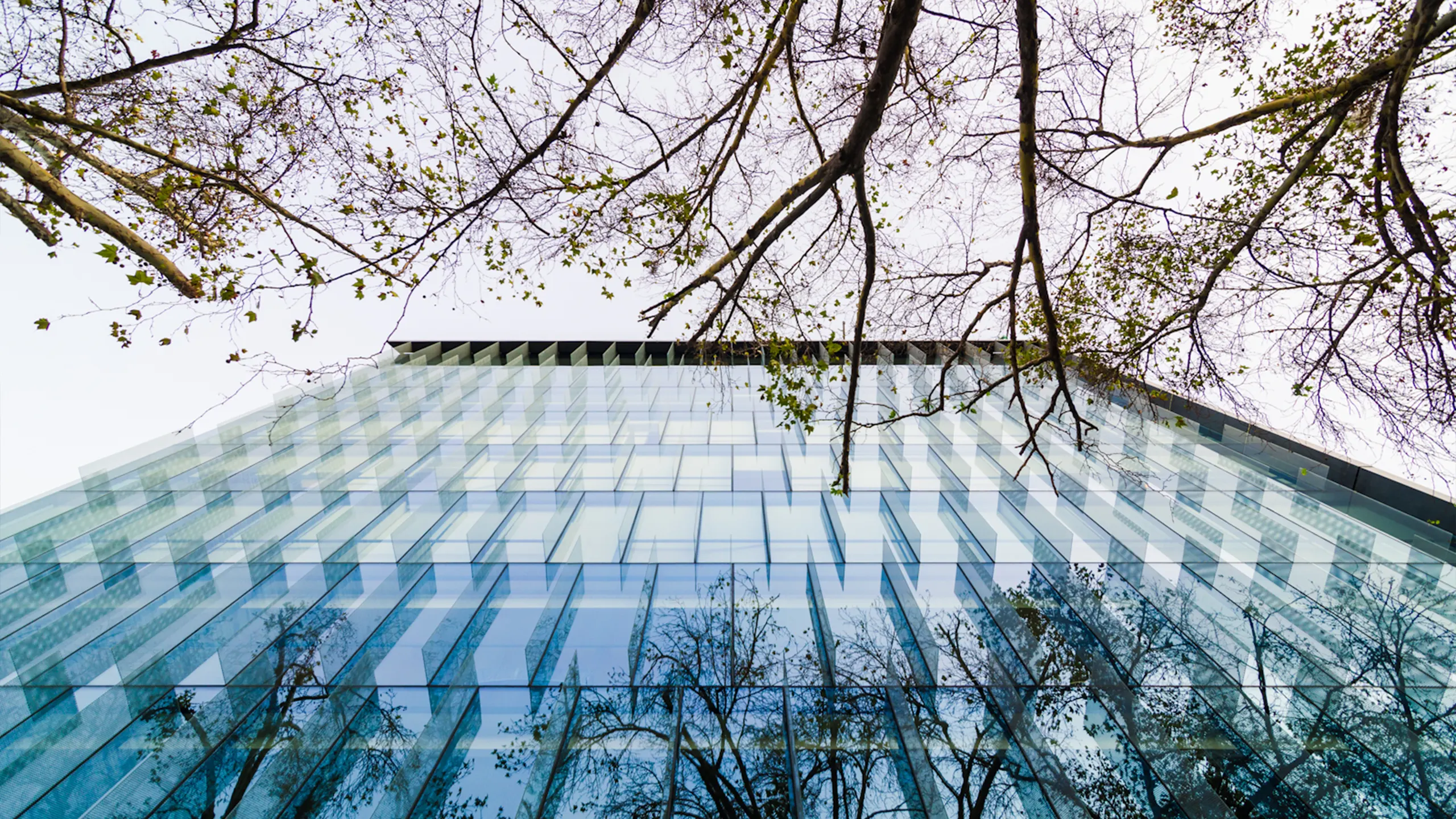 Edificio Ombú